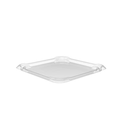 RECESSED LID FOR TAMPERGUARD SNACK BOXES CONTAINERS - Plastic containers