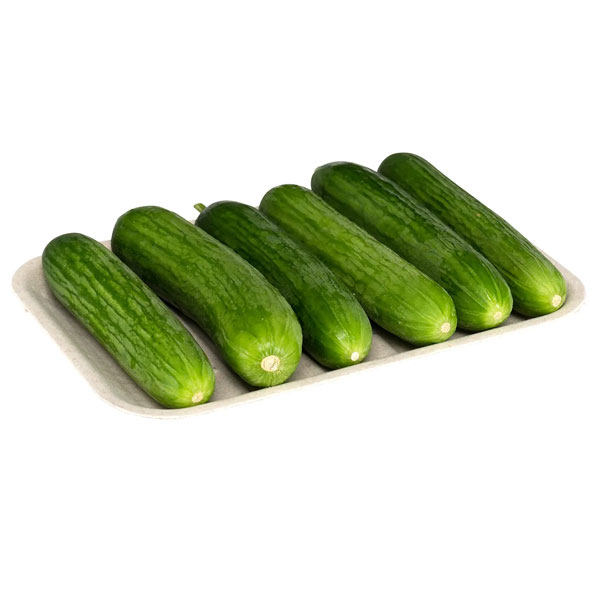VAR-00000032