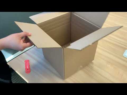 6230156_video