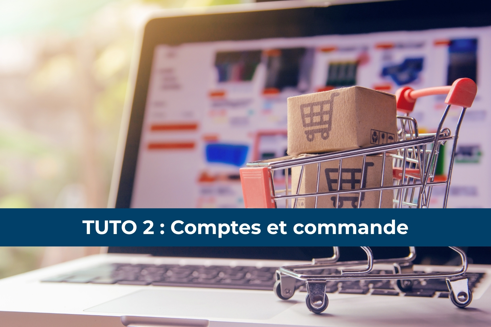 Tutoriel Site Web #2 - Types de compte et commandes