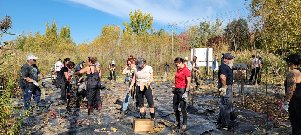 Carrousel en action pour ses régions! 